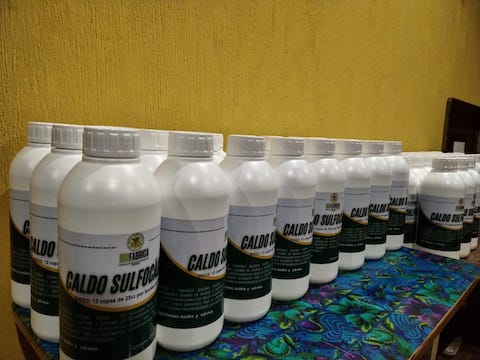 imagen de presentacion de Biofungicidas