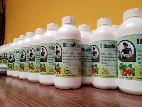 imagen de presentacion de Bioinsecticidas