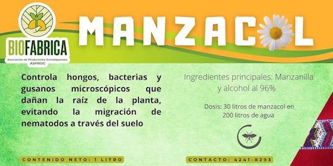 imagen de presentacion de Bionematicidas