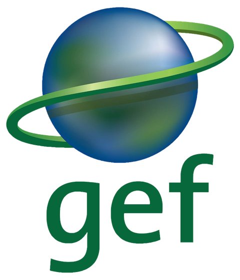 Logo de GEF