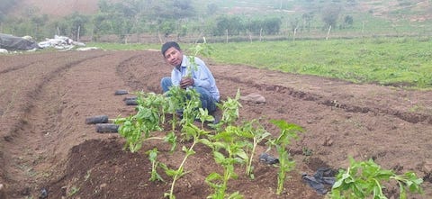 imagen de presentacion de parcelas de plantas nativas