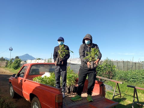 imagen de servicio Viveros Forestales y Reforestacion